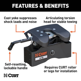 CUR-16520_02.jpg