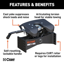 CUR-16580_02.jpg