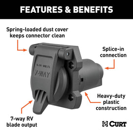 CUR-58155_02.jpg