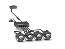 Load image into Gallery viewer, GOP-4114D_01.jpg