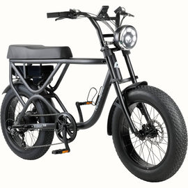 RTR-4560_01.jpg