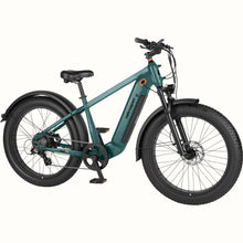 Load image into Gallery viewer, RTR-6002_01.jpg