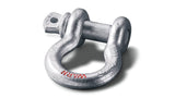 CLEVIS D-SHACKLE 3/4"