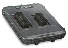 Load image into Gallery viewer, pulsar_snip_1.jpg